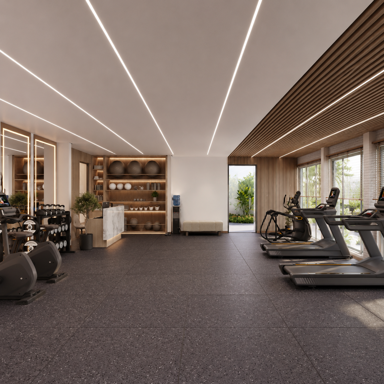 Gymnasium